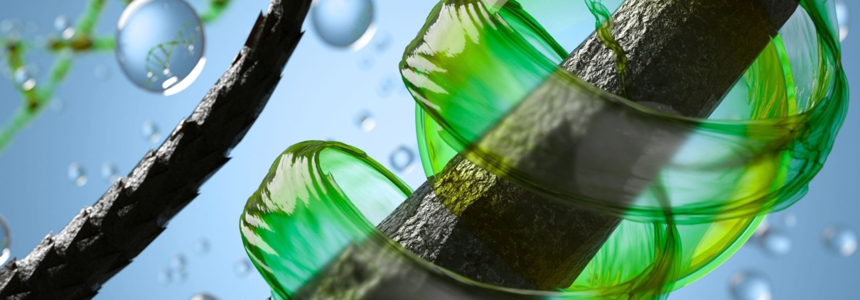 Dual integrity protocol